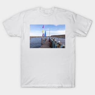Manchac Swamp Bridge Crossing Water T-Shirt